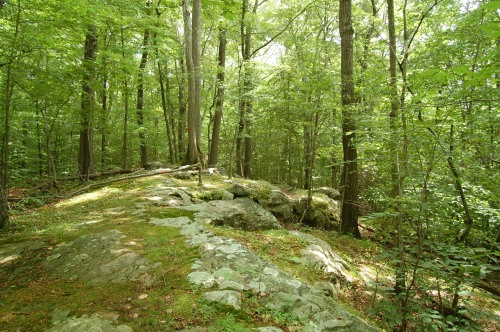Orange Trail Crossing a Bedrock Ridge