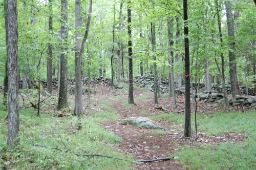 Woodcock Trail